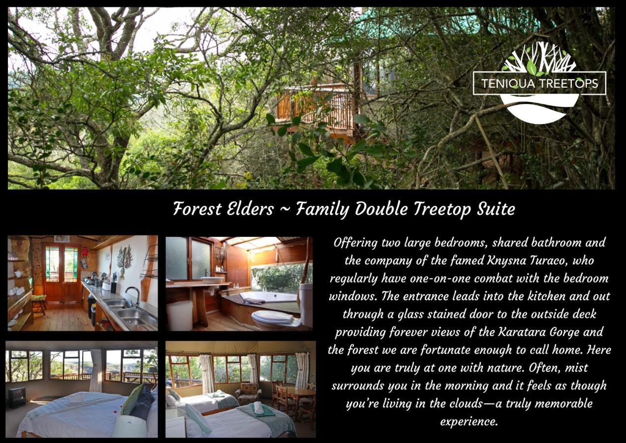 Teniqua Treetops Hotel Karatara Settlement Exterior photo