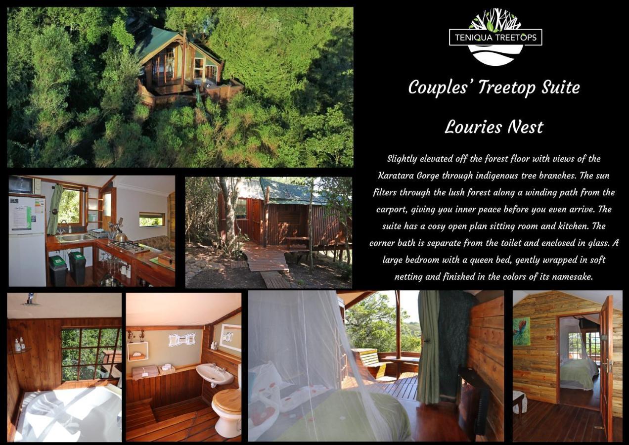 Teniqua Treetops Hotel Karatara Settlement Exterior photo