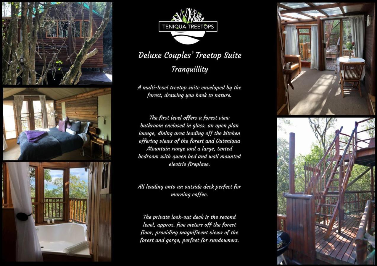 Teniqua Treetops Karatara Settlement Exterior photo