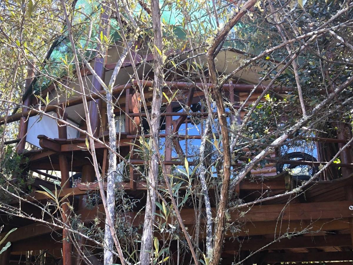 Teniqua Treetops Hotel Karatara Settlement Exterior photo