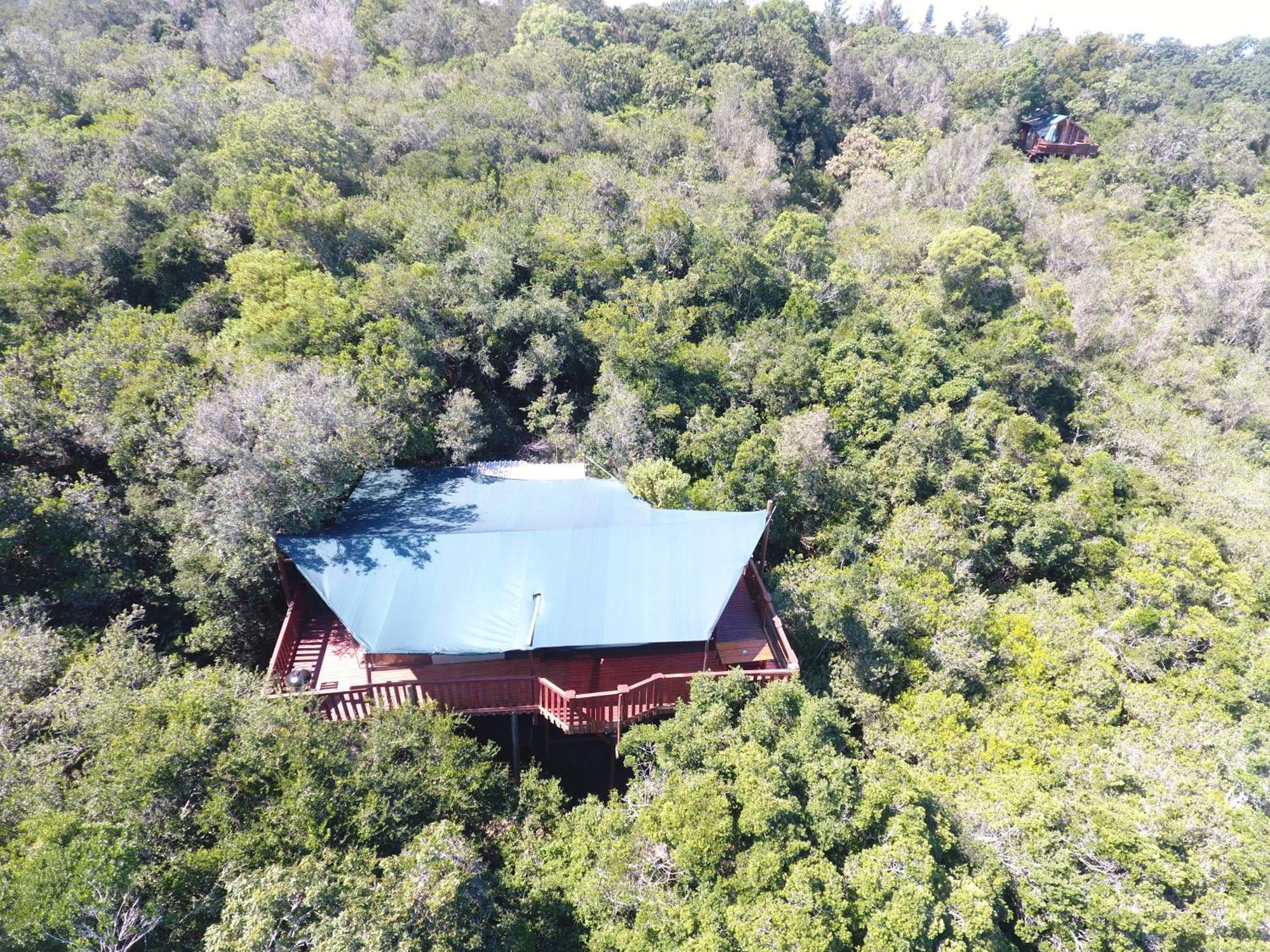 Teniqua Treetops Hotel Karatara Settlement Exterior photo