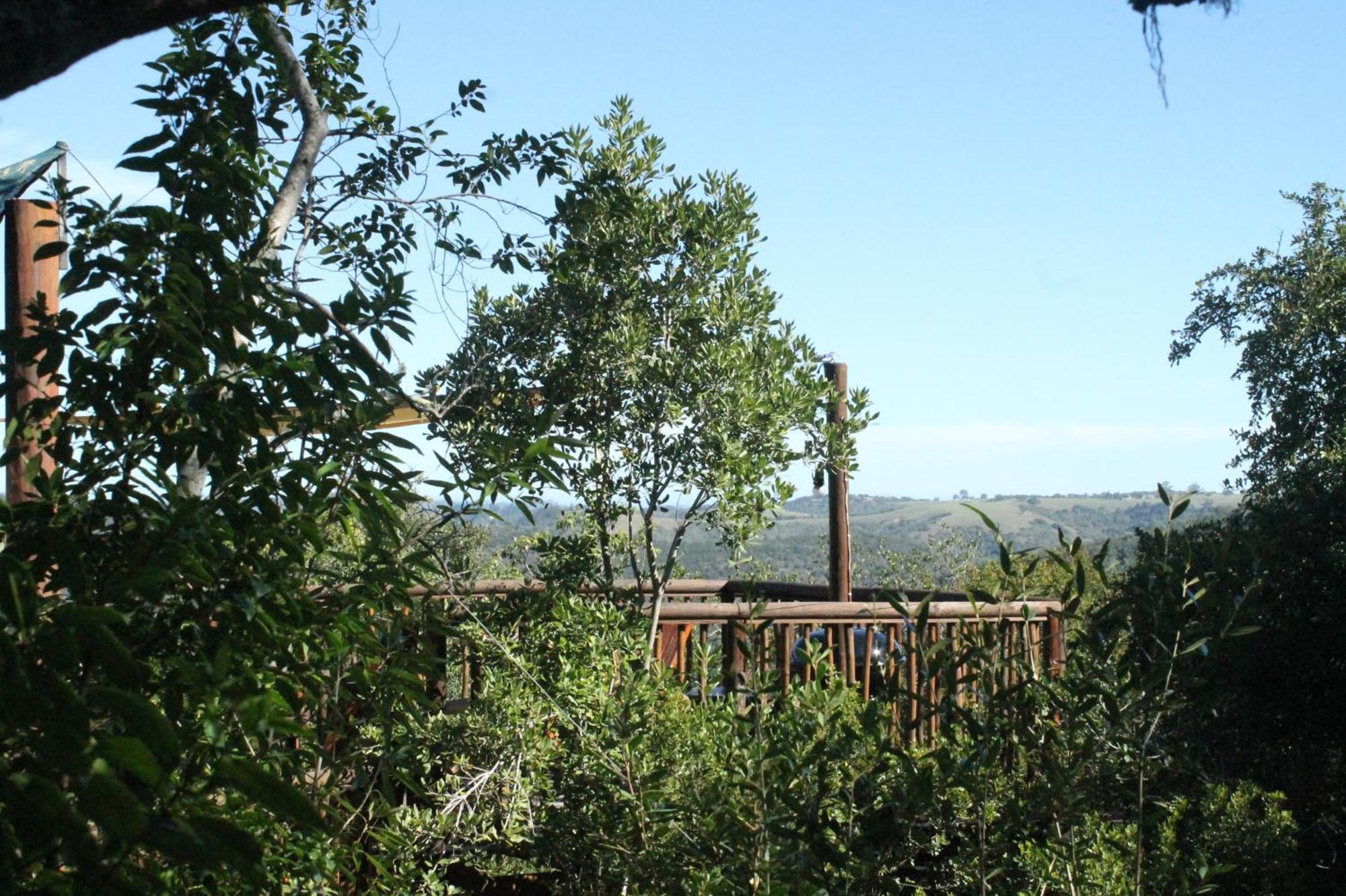 Teniqua Treetops Hotel Karatara Settlement Exterior photo