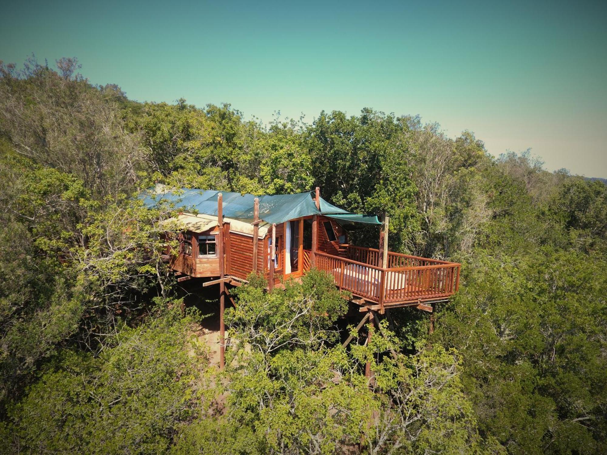 Teniqua Treetops Hotel Karatara Settlement Exterior photo