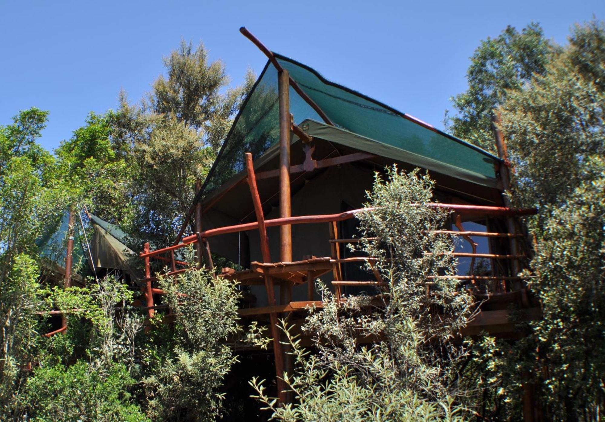 Teniqua Treetops Karatara Settlement Exterior photo