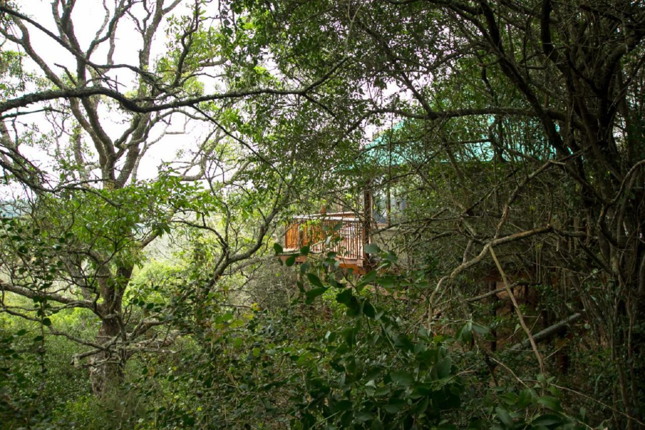 Teniqua Treetops Hotel Karatara Settlement Exterior photo