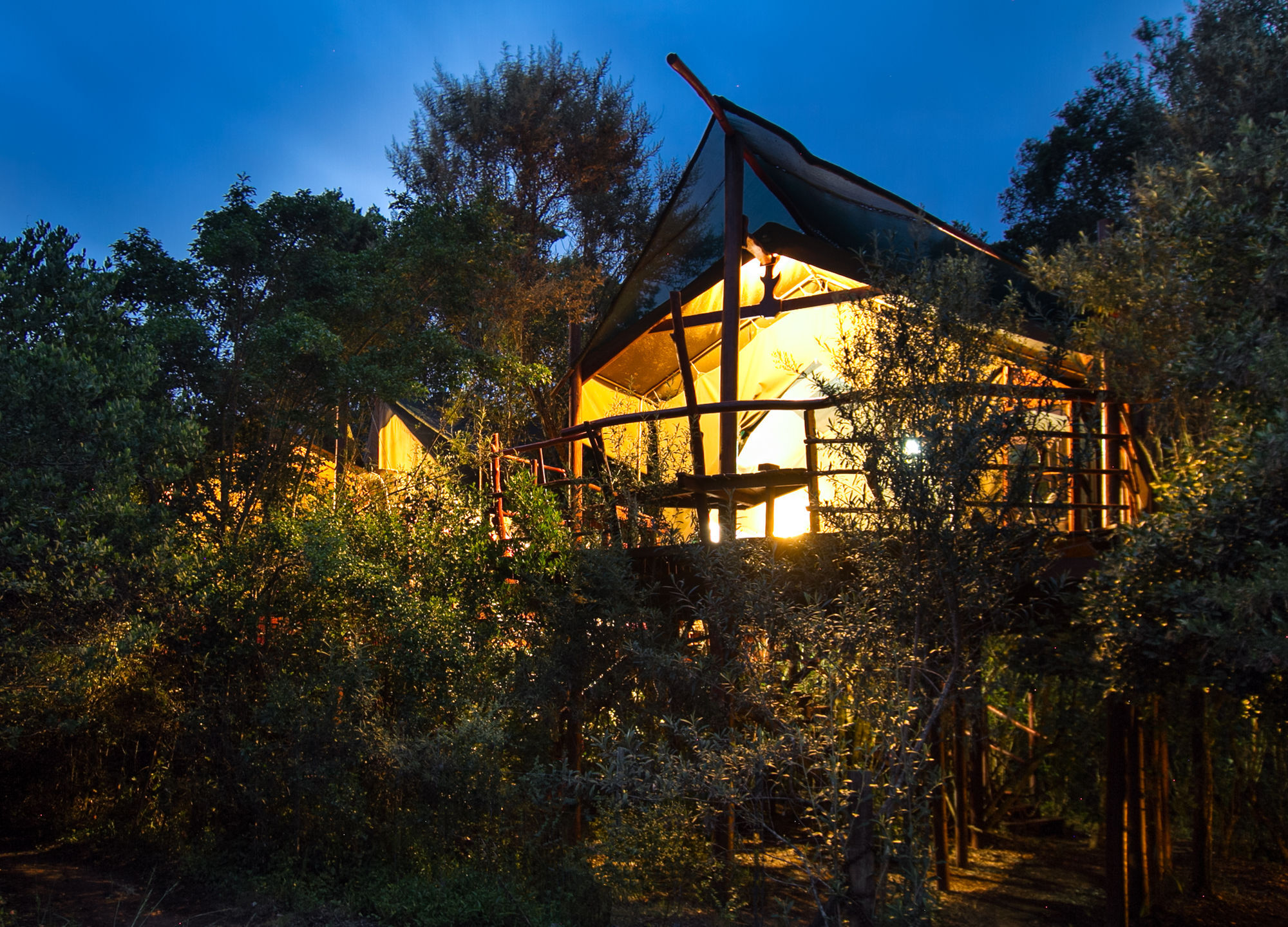 Teniqua Treetops Hotel Karatara Settlement Exterior photo