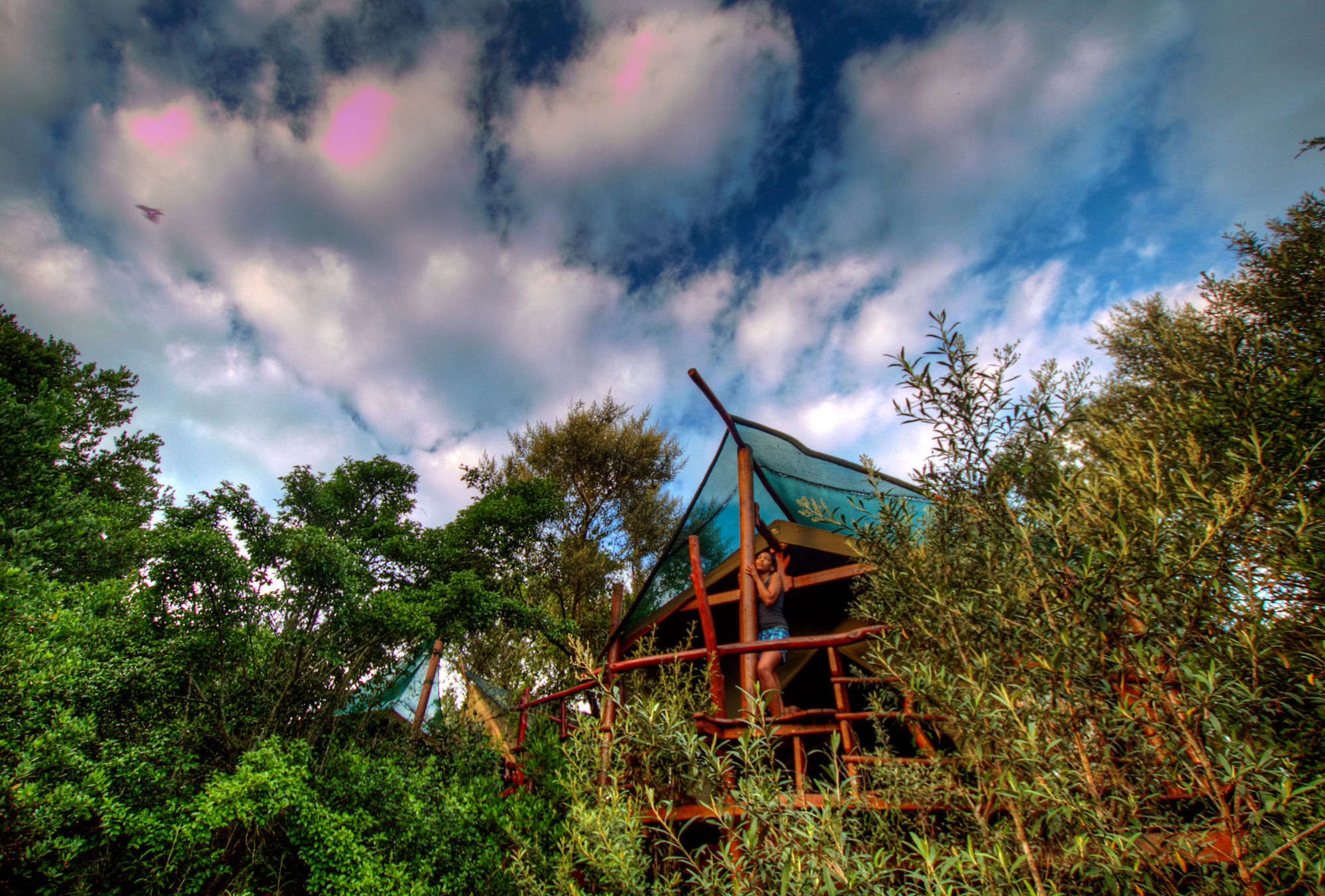 Teniqua Treetops Hotel Karatara Settlement Exterior photo